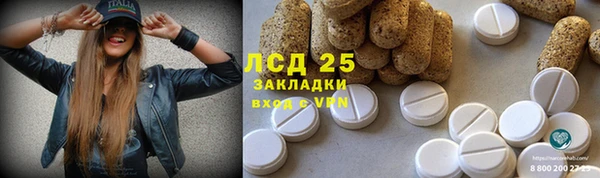 амф Козловка