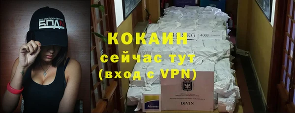 амф Козловка