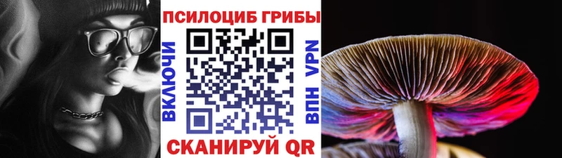 Купить где  Каргополь  Псилоцибиновые грибы ЛСД 