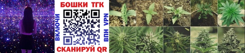 Купить закладки  Каргополь  Каннабис план 